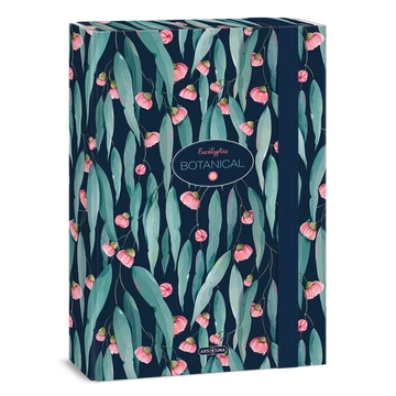 Füzetbox, A4, Ars Una EUCALYPTUS (5253) 23